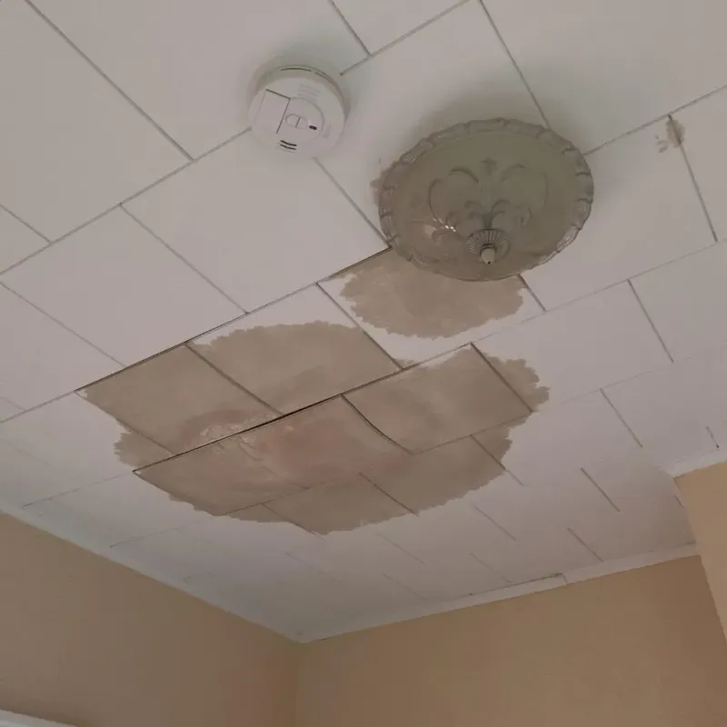 Ceiling Water Damage Repair in Heflin, AL