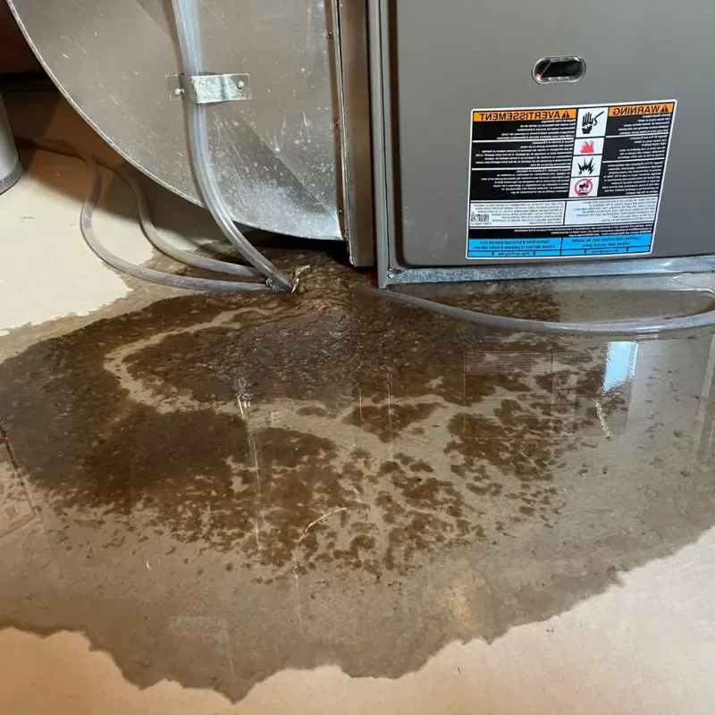 Pipe Burst and Leak Restoration in Heflin, AL