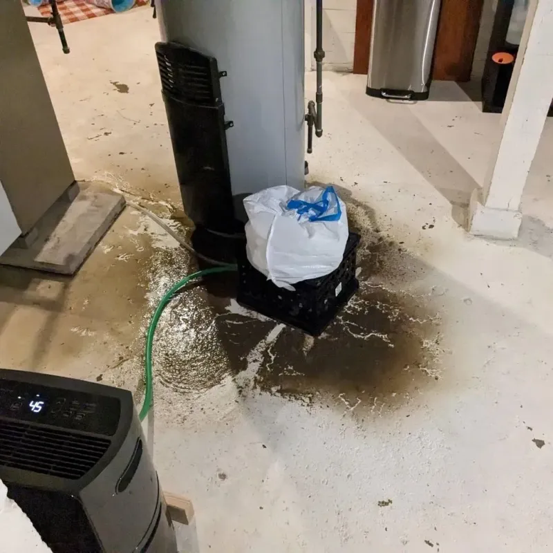 Sewage Backup Cleanup Service in Heflin, AL